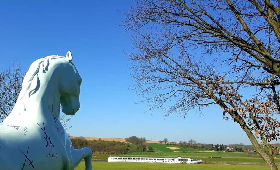 Reiterhof Schmidt, Gaststaette & Pension Golk ภายนอก รูปภาพ