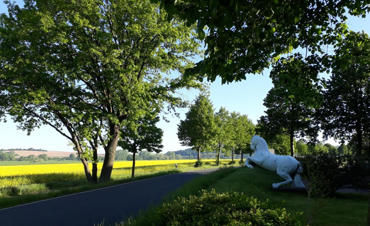 Reiterhof Schmidt, Gaststaette & Pension Golk ภายนอก รูปภาพ