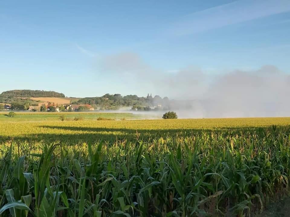 Reiterhof Schmidt, Gaststaette & Pension Golk ภายนอก รูปภาพ
